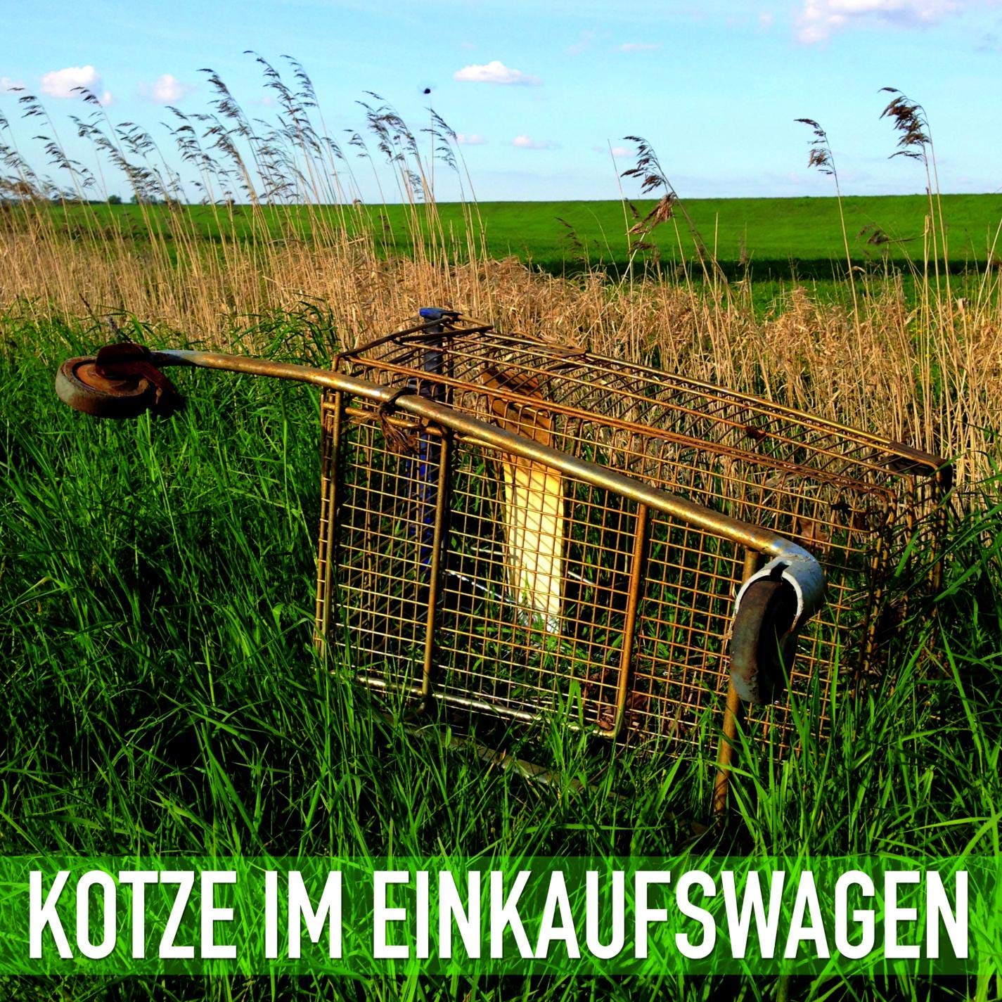 Kotze im Einkaufswagen