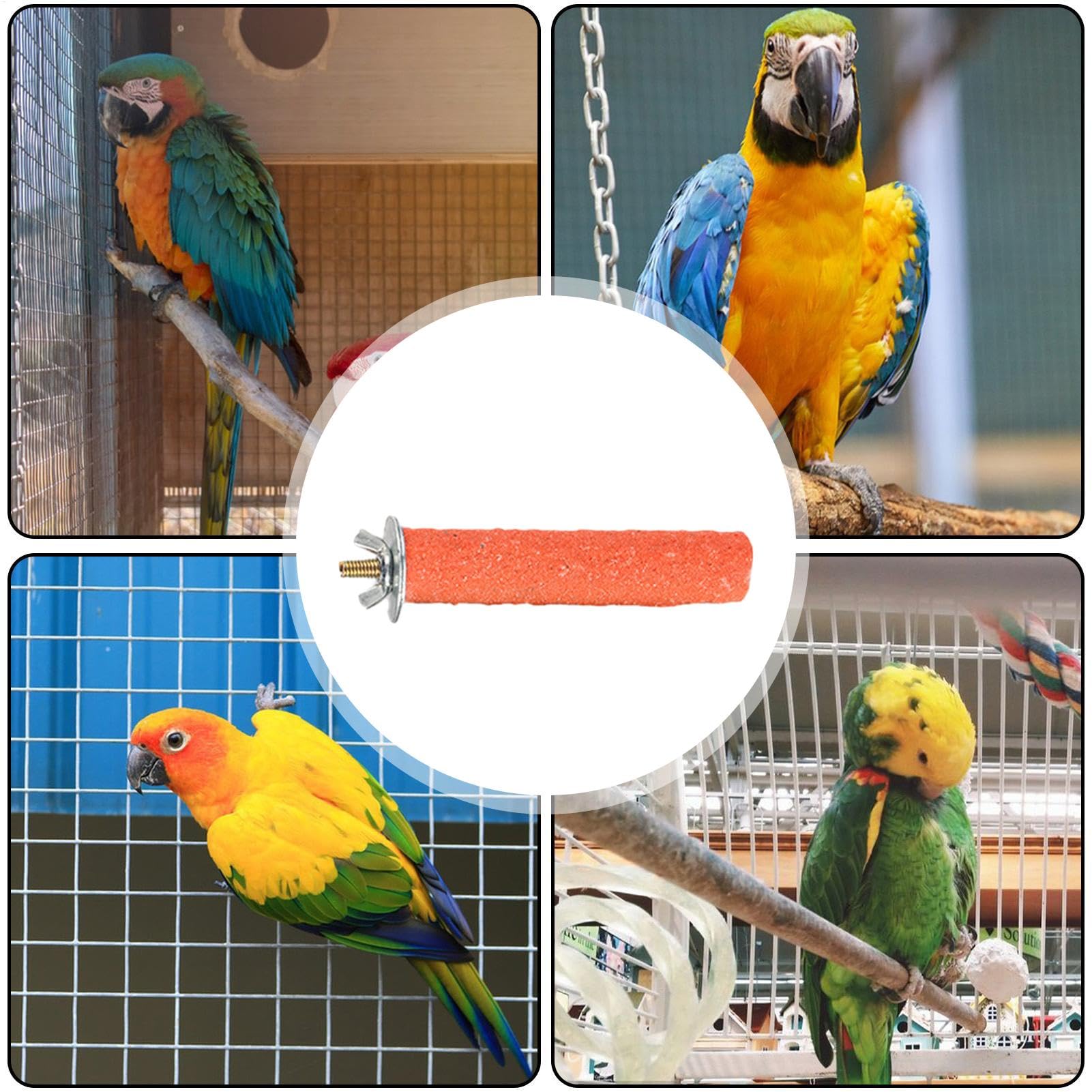 Vogelschleifwort: Schlanker Barsch zum Schleifen von Papageienkrallen, Kalzium-Ton, Vogel-Käfig-Spielzeug | Zanderkäfig-Spielzeug für Kakadus, Wellensittiche, mittelgroße