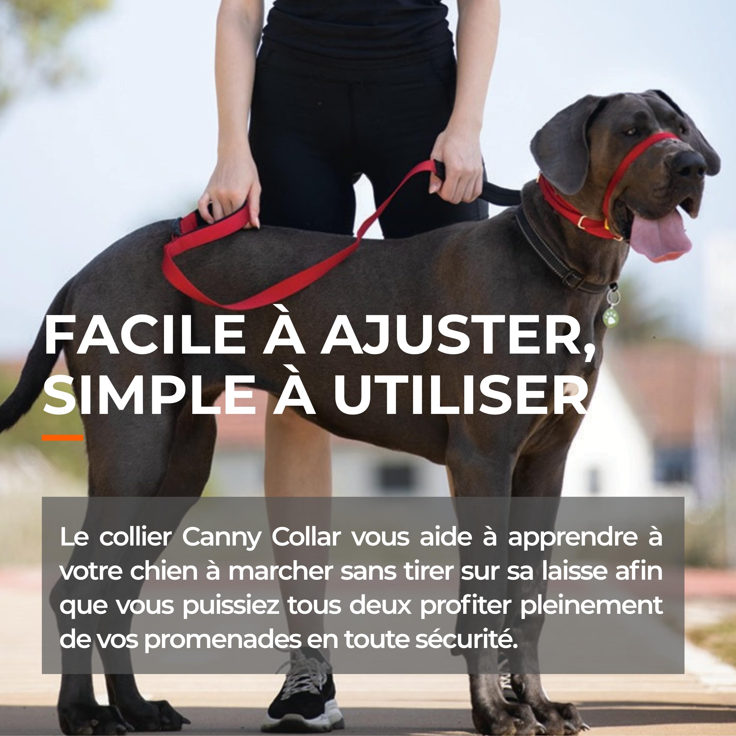 Canny Collar – Licol de Dressage Anti-Traction pour Chien | Apprend à Ne Pas Tirer en Laisse | Doux, Confortable et Sûr | Facile à Utiliser – Noir, Taille 7