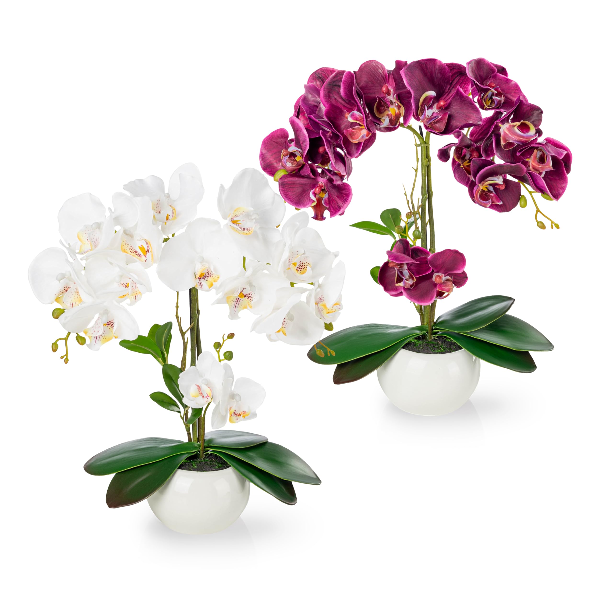 PASCH® 2er Set Orchideen künstlich in Hochglanz-Keramiktöpfen (40cm) | Kunstblumen im Topf | Kunstblumen wie echt | künstliche Orchideen im Topf | künstliche Blumen im Topf | Kunstblume Orchidee