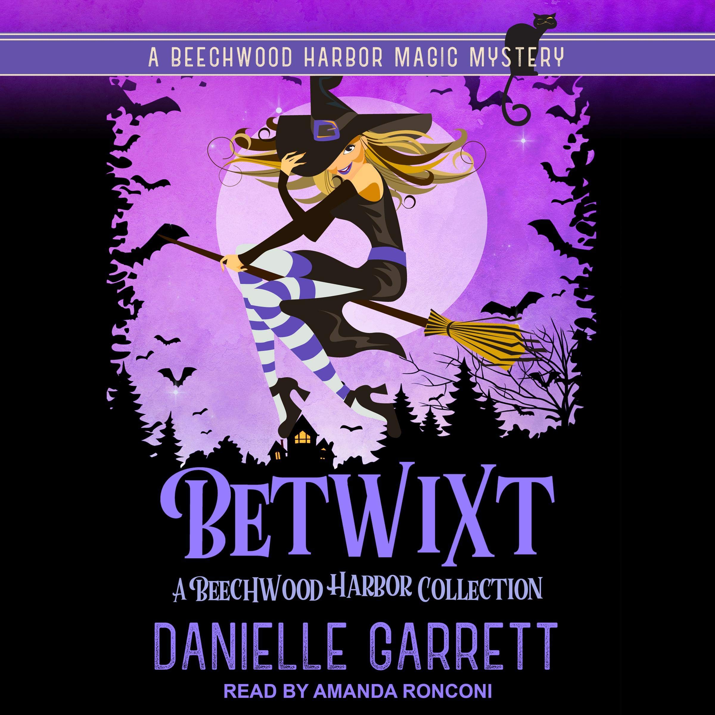 Cover art for Betwixt: Beechwood Harbor Magic Mysteries Series, Book 0.5