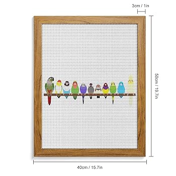 立体ビーズ刺繍アートフレーム　大倉トーイ鳥フィギュア　ハンドメイド Amazon | 可愛い 鸚哥 インコ 鳥 鳥柄 ダイヤモンドアート 5D