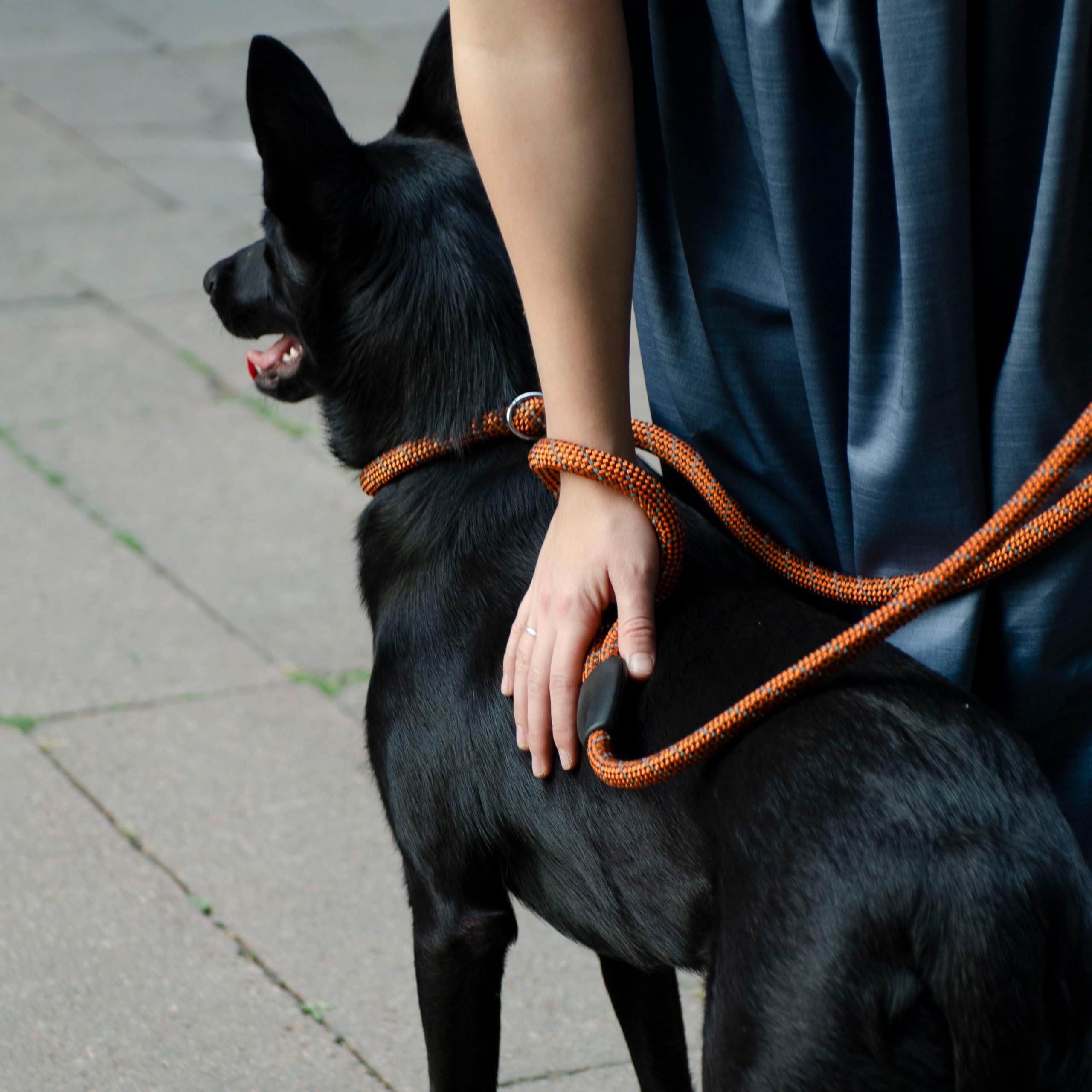 Ferplast SPORT REFLEX Dog Lead and Collar, Reflective Lead with Adjustable Semi-Choke Collar, in Nylon Cord - Image 2