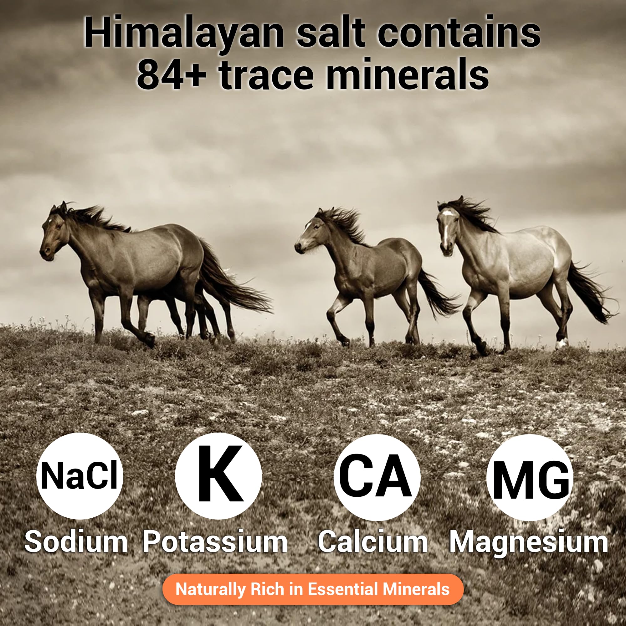Confezione da 4 leccate di sale dell'Himalaya compresse da 3,2 a