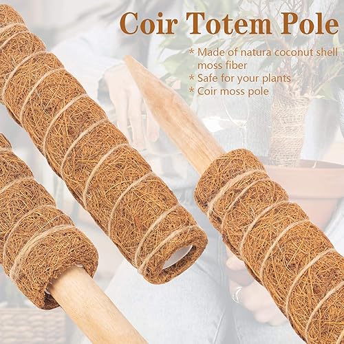 Miniatura 3 de 2 postes de musgo de coco de 12 pulgadas para plantas trepadoras con 4 lazos ajustables para plantas, palo de tótem de musgo de coco para extensión