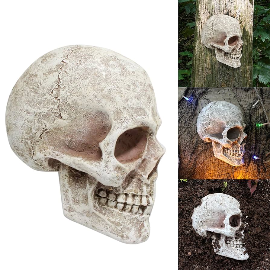 MTAI スカルデザイン フィギュア 約22cm MTAI スカルデザイン フィギュア 約22cm 61MwolAKaYL._UF894