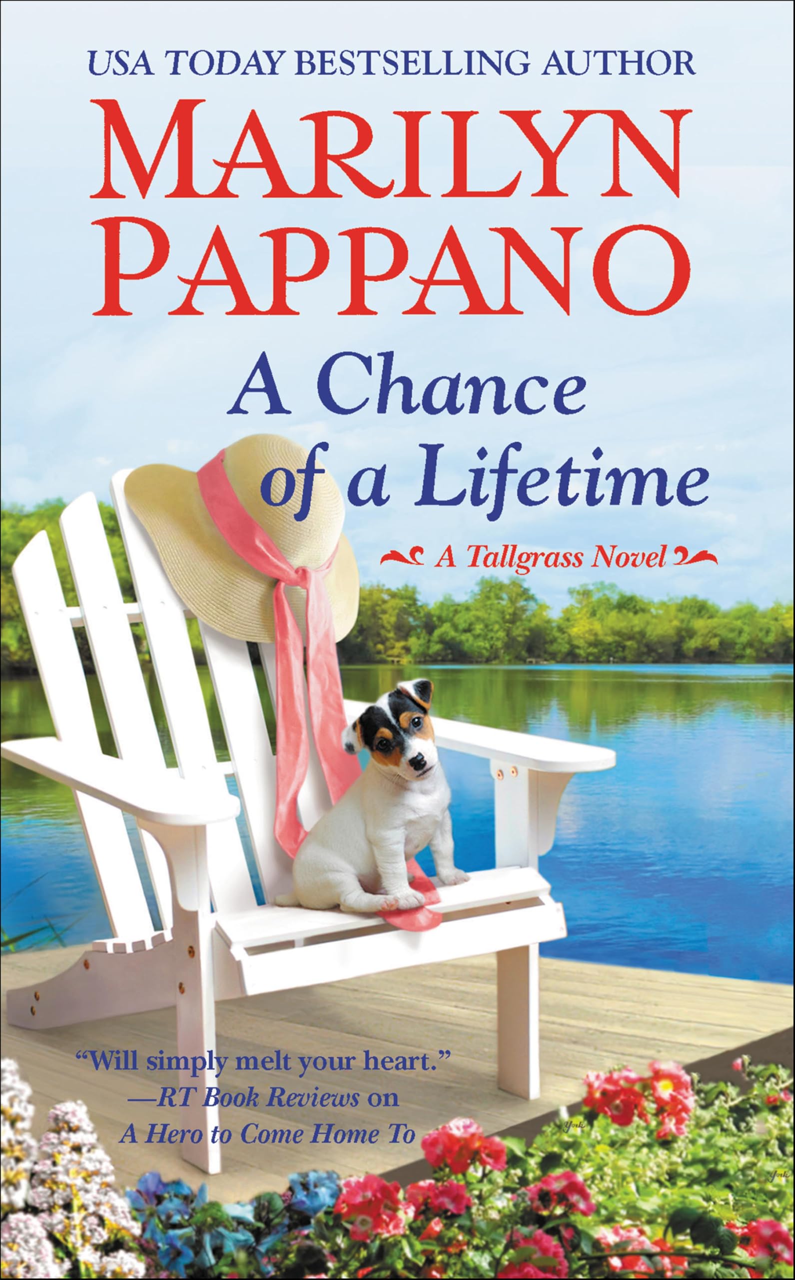 A Chance of a Lifetime (A Tallgrass Novel Book 5)