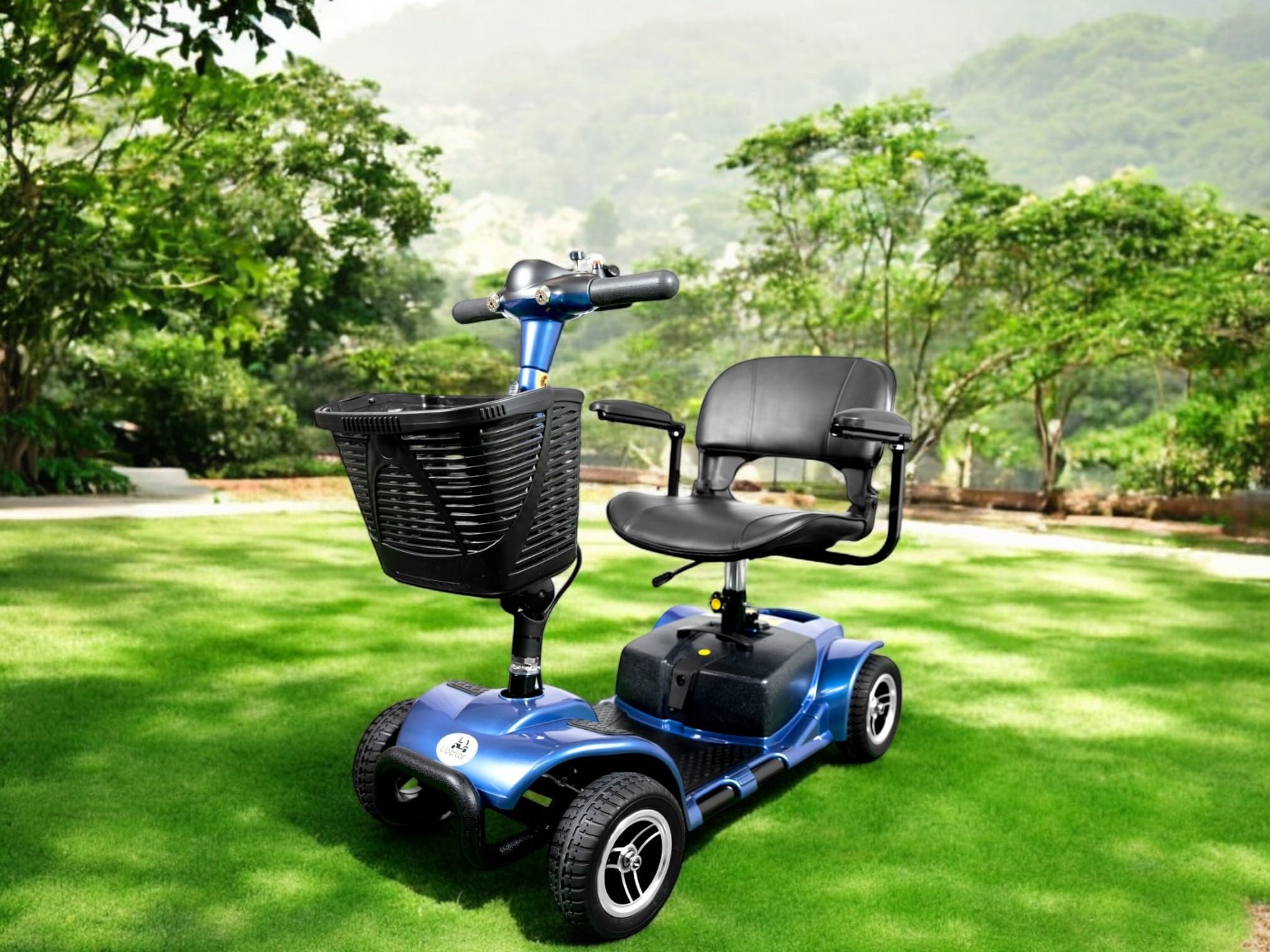 Scooter electrico discapacitado Smart