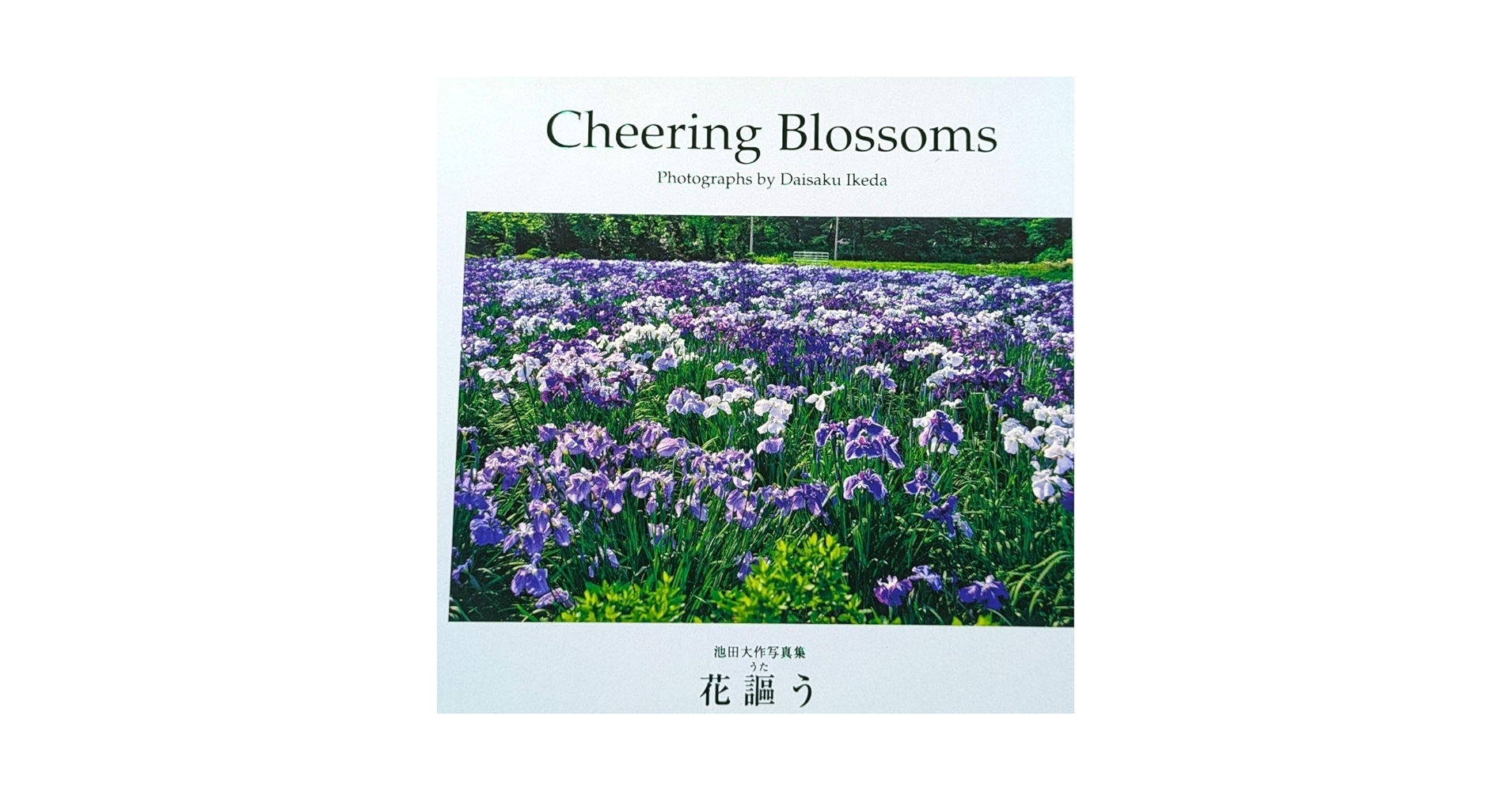 風の彩 花の調べ 池田大作写真集 風の彩 花の調べ 池田大作写真集 Yahoo!オークション - 池田大作