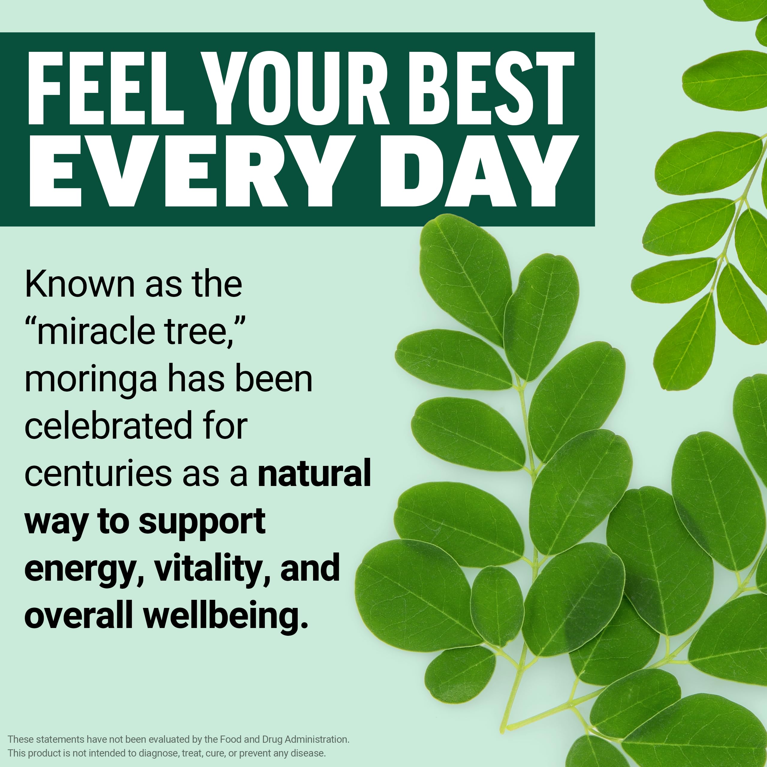 Force Factor Modern Moringa Soft Chews — Amazon image 4