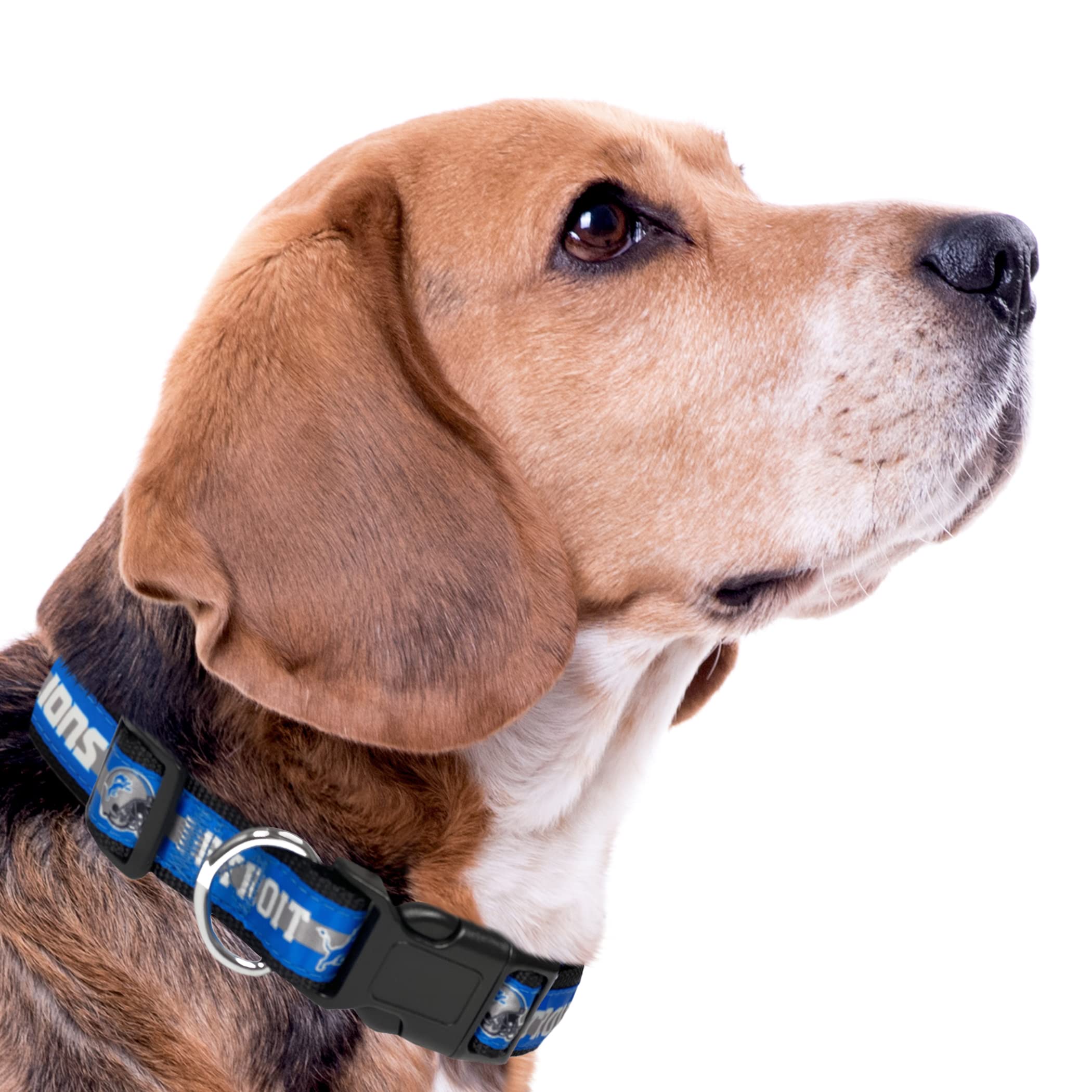 NFL Pet Collar de perro de los Detroit Lions, collar de equipo de fútbol americano XL para perros y gatos, collar de gato brillante y colorido con licencia de la NFL