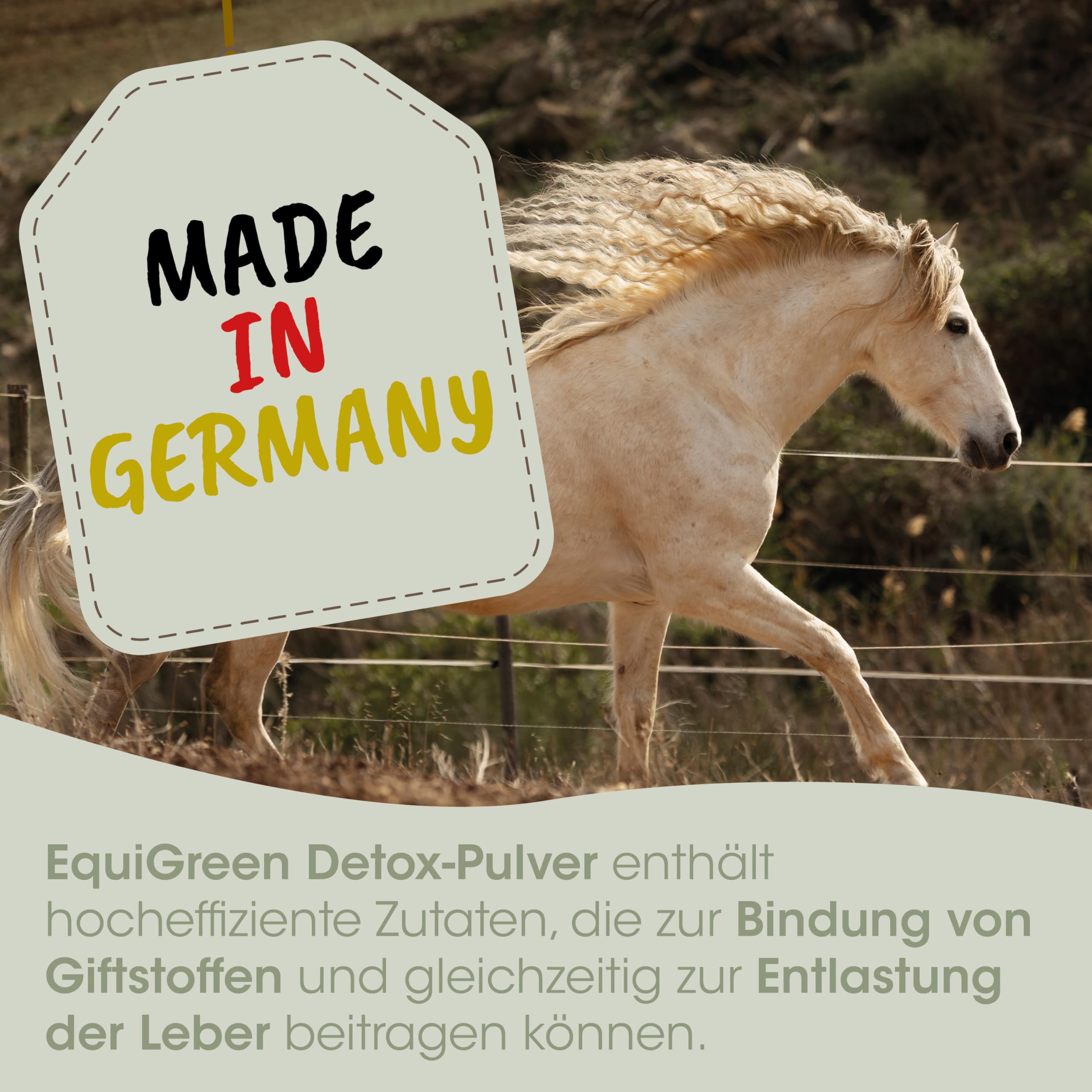 cdVet EquiGreen Detox Pferdemineralfutter 2kg - Bentonit Pulver für verbesserte Darmgesundheit