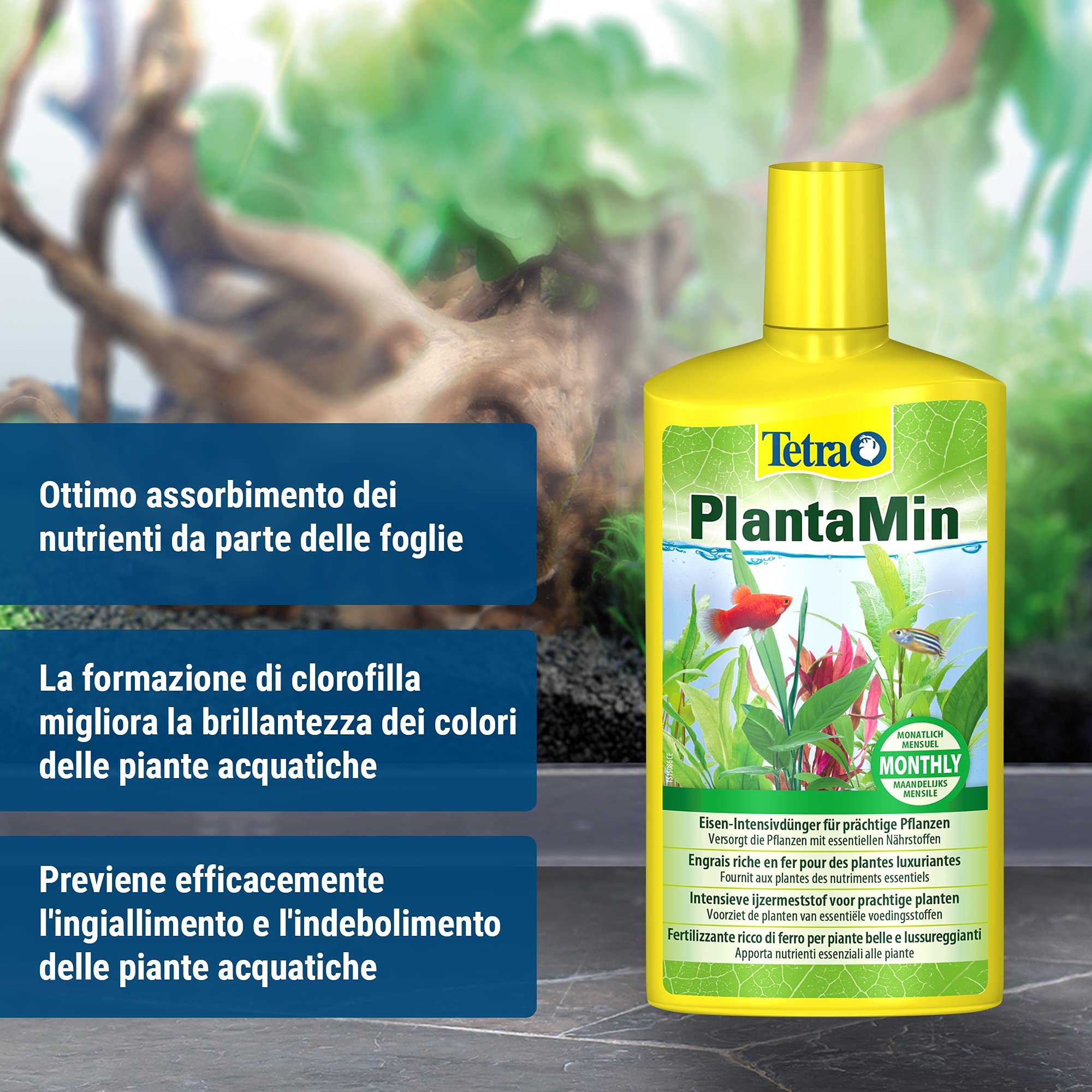 Tetra PlantaMin 500 ml, Sostanze Nutritive Fondamentali, per una Colorazione Verde e Rossa Intensa delle Foglie
