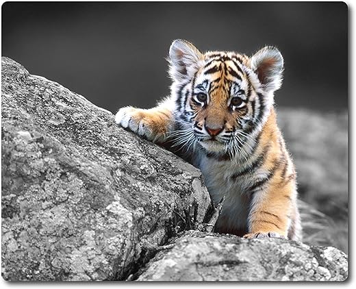 woopme® Tiger Theme Printed Mouse Pad Compatible for Laptop Computer Desktop PC Girls Kids Gaming Non Slip Rubber Base L x H 24 x 20 CMS