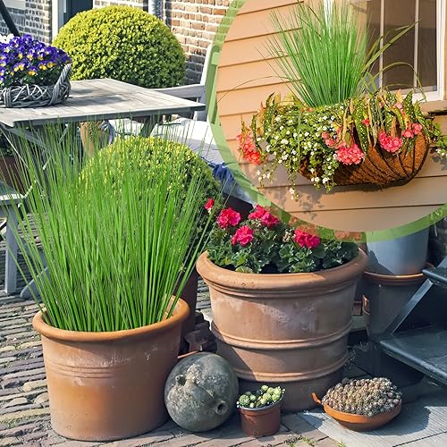 Miniatura 5 de Yunlly Paquete de 24 plantas artificiales de 27 pulgadas de alto, hierba de cebolla, césped falso, tallos de vegetación sintética, arbustos