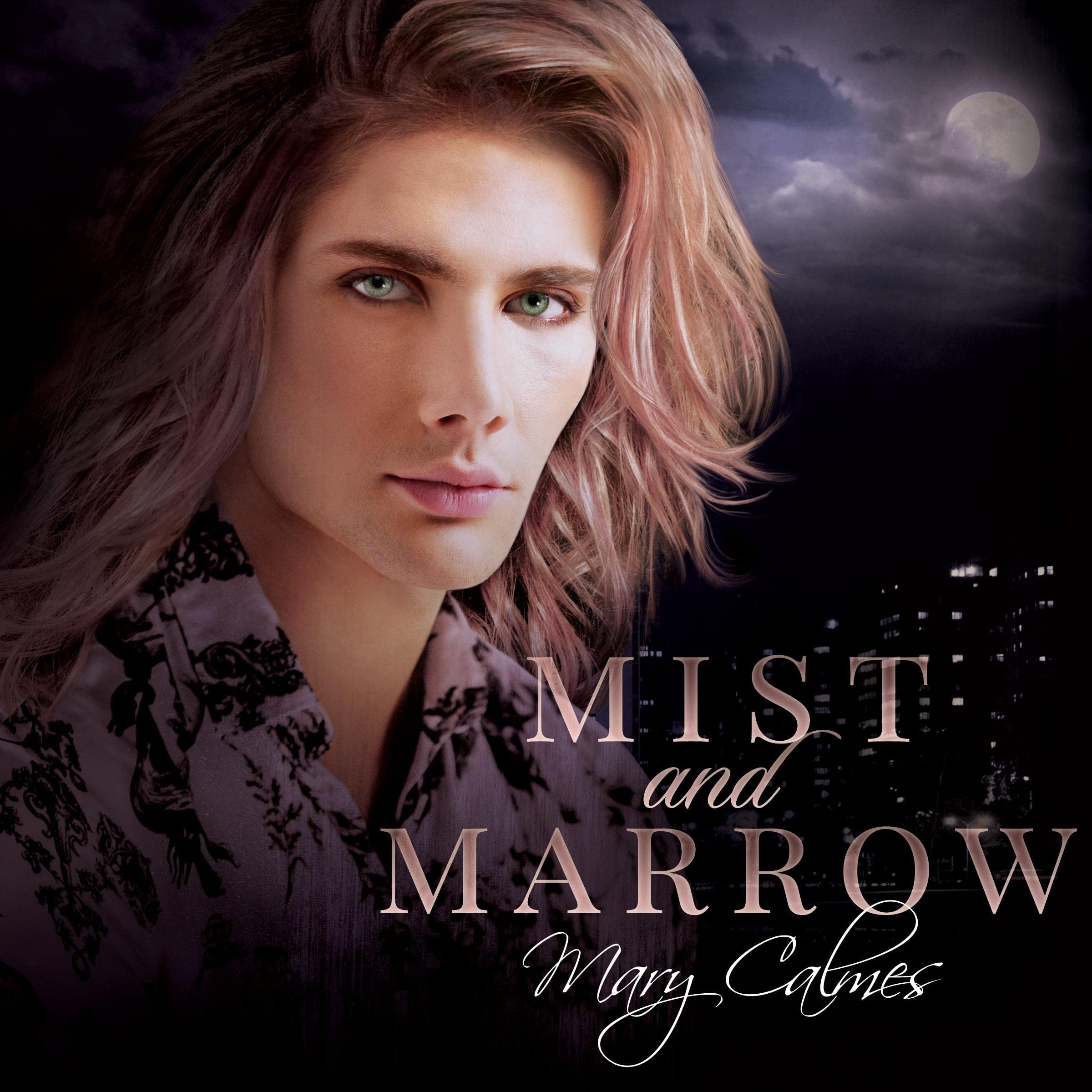 Cover art for Mist and Marrow