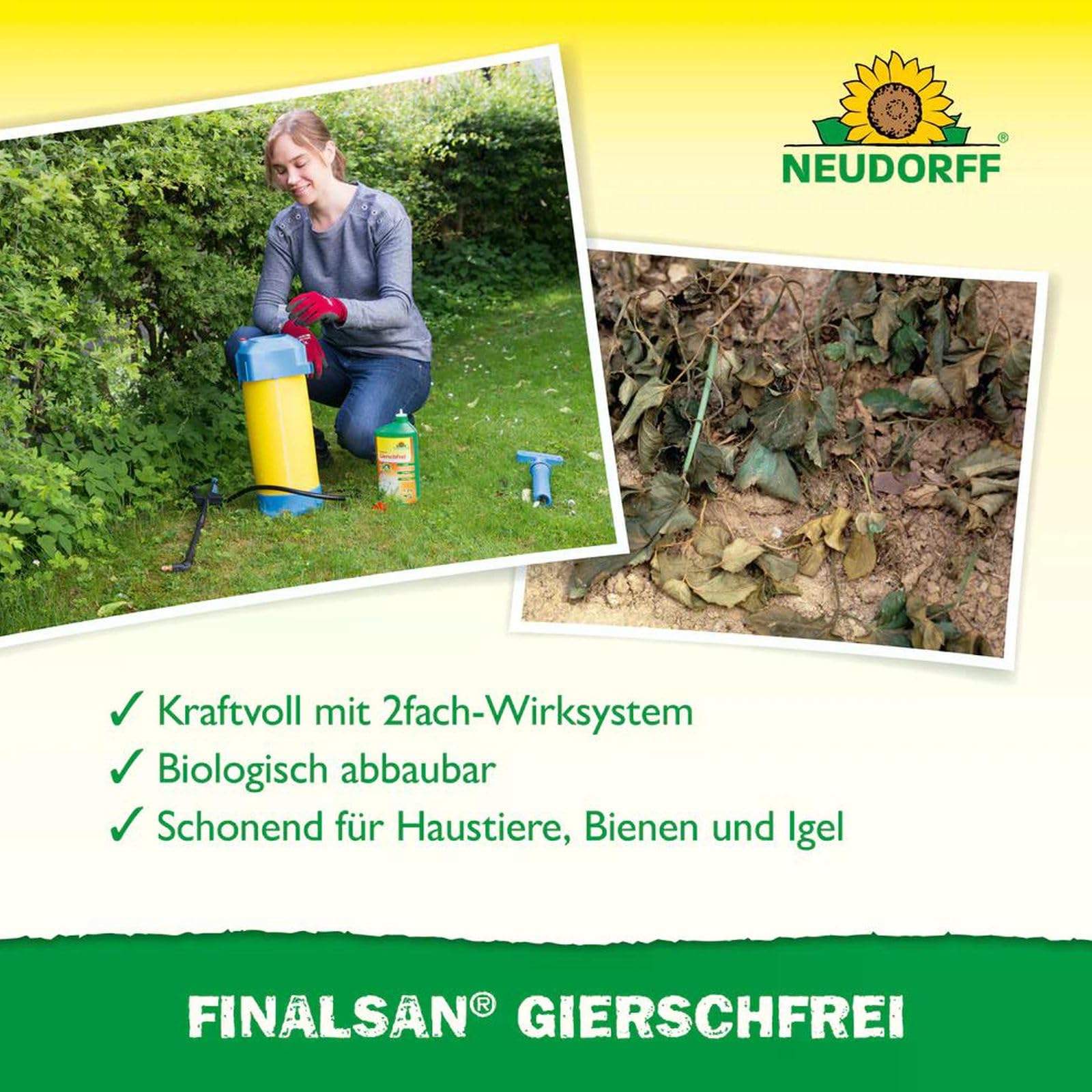 3 X 1L Finalsan Giersch­Frei