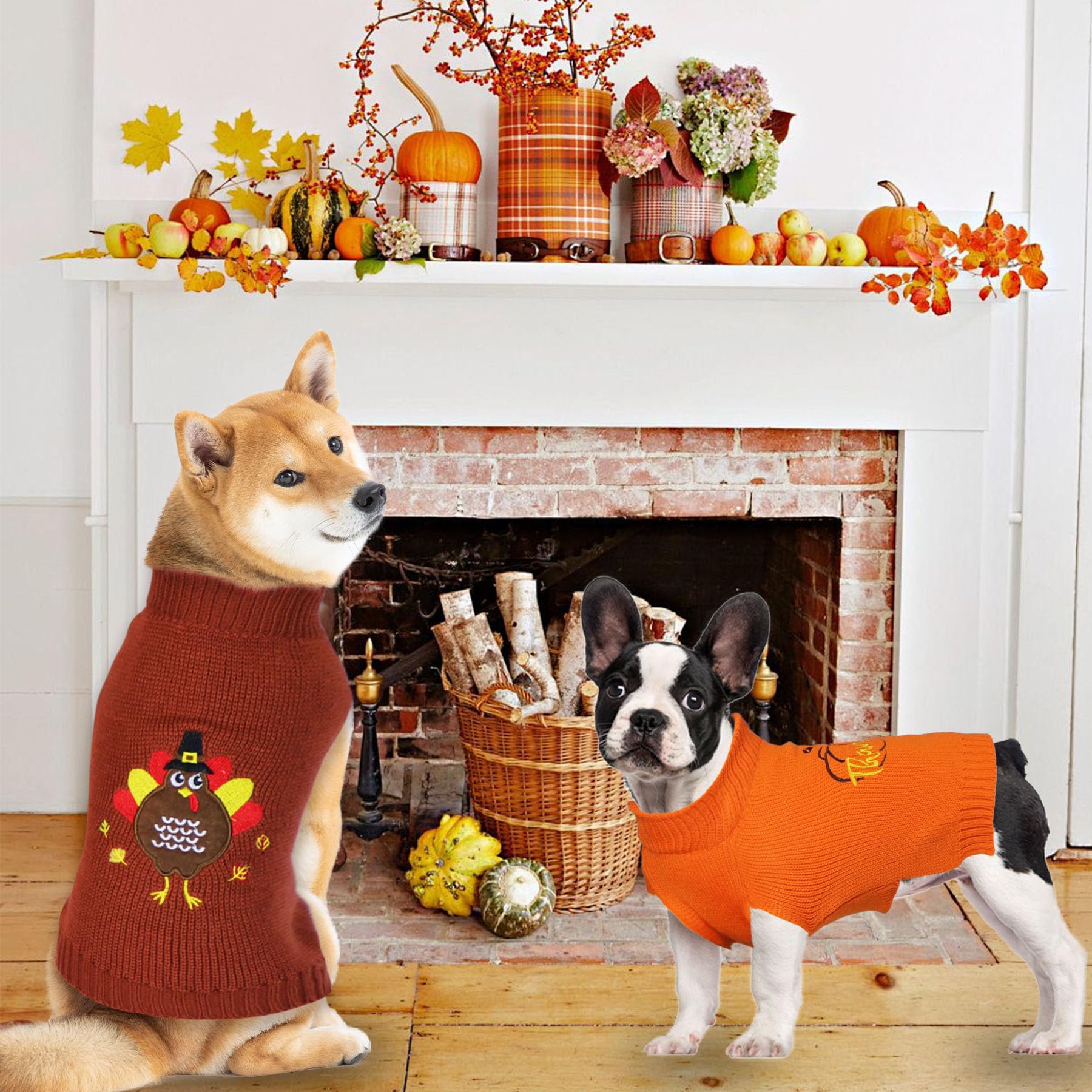 Thanksgiving Hundesweatshirt 2er Set - Für Kleine & Mittelgroße Hunde & Katzen | Orange, Mit Kapuze, Größe M