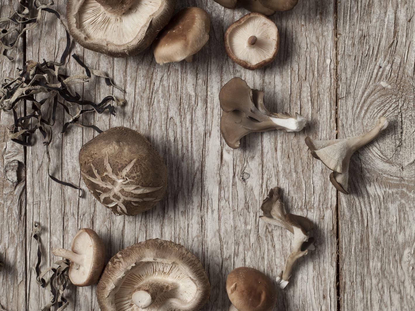 Nourcery Dried Shiitake Mushroom, 50gm (Sawtooth Oak Mushroom) 1