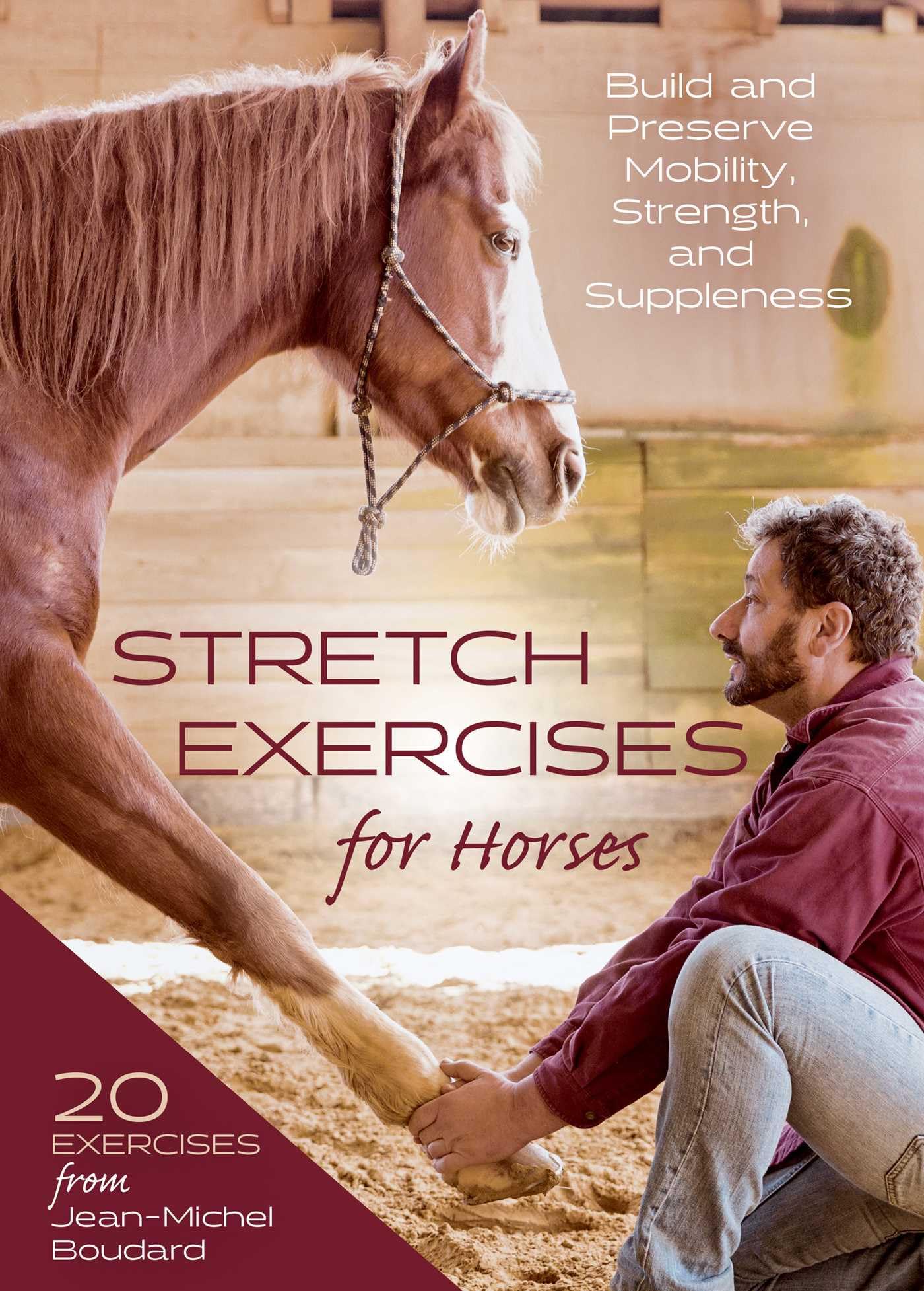 Stretch Exercises for Horses by Jean-Michel Boudard (Spiral bound)