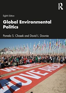 Global Environmental Politics (Dilemmas in World Politics)