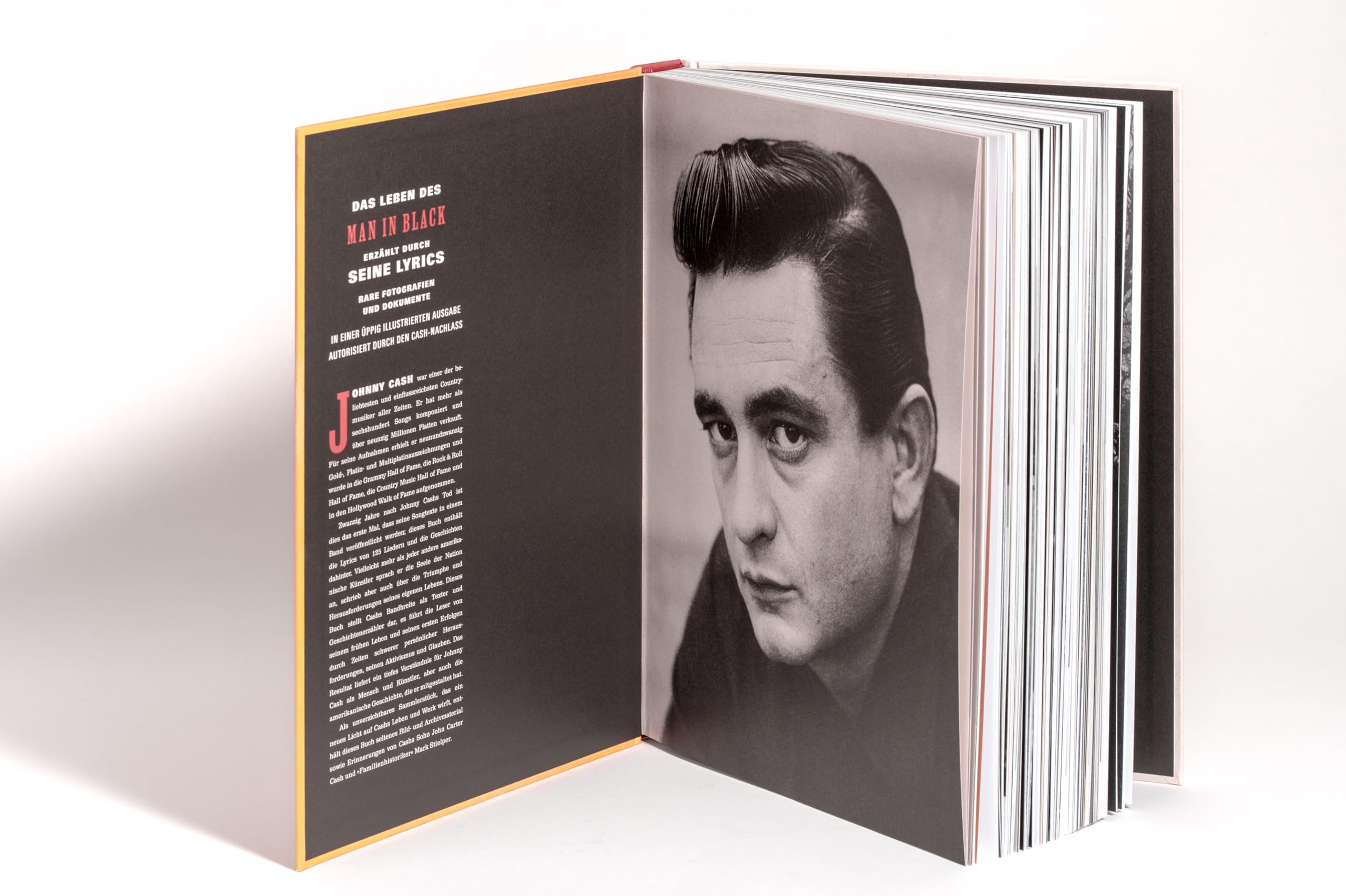 The Life in Lyrics: Sein Leben, seine Texte