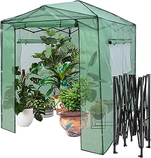 RELAX4LIFE Gewächshaus, Foliengewächshaus Winterfest mit 2 Aufrollbaren Fenstern & 2 Aufrolltüren, Überwinterungszelt für Pflanzen, Pflanzenhaus für Blumen Gemüse Obst, 250 × 180 × 210-230cm