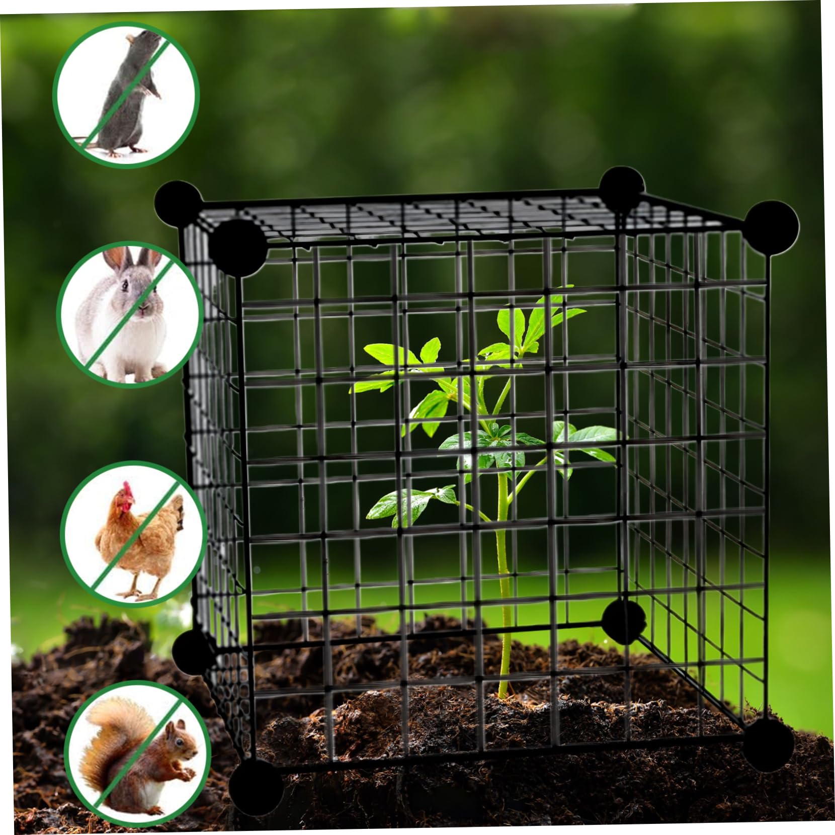 IMIKEYA 4 Protezioni Per Piante In Ferro, Gabbie Reticolari 23x23x23 Cm, Anti Animali, Riutilizzabili, Per Orto E Giardino - 2
