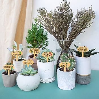 Amazon.com: arricraft 15 Pcs Funny Plant Labels, Wooden Herb