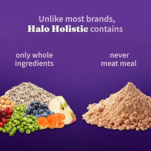 Miniatura 4 de Halo Holistic Receta a base de plantas con algas, salud digestiva completa, bolsa de comida seca vegana para perros, fórmula para adultos, bolsa de