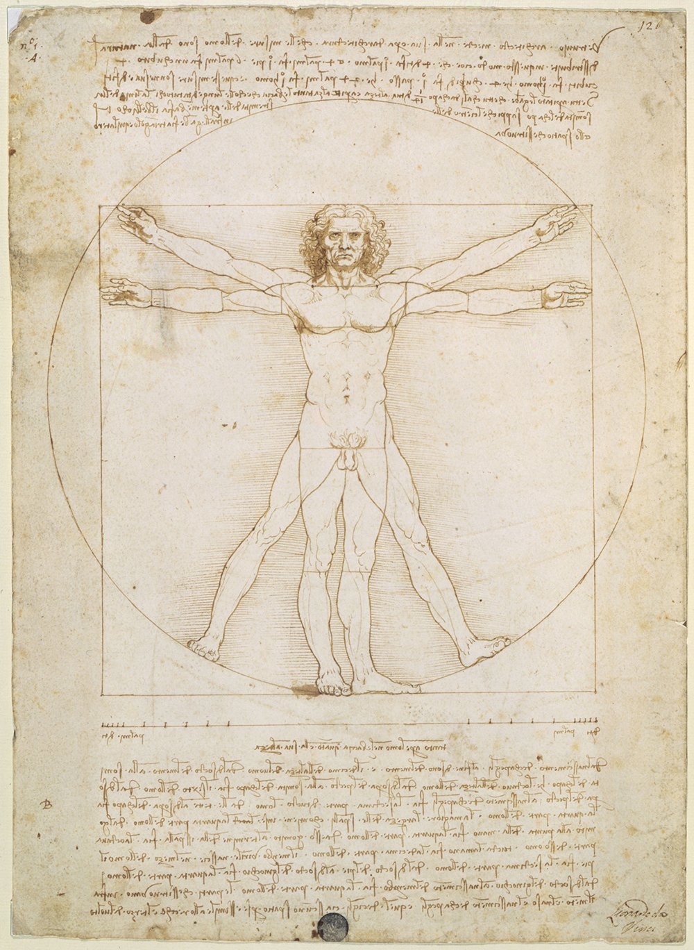 Vitruvian Man Da Vinci grand cadre marron : finis les reflets sur vos tableaux muraux !