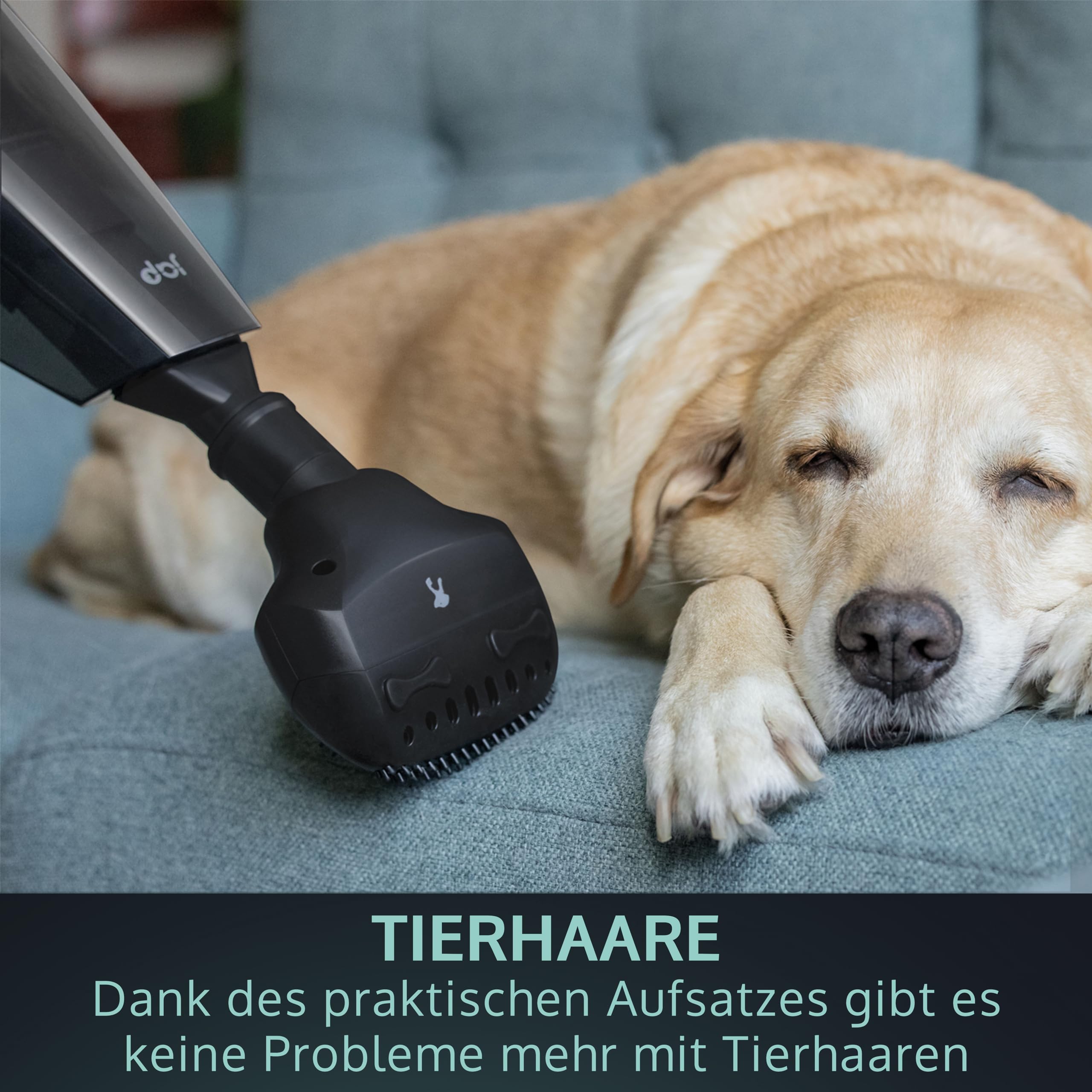 JAP Handstaubsauger Akku S3C - Testsieger Beutellos Handsauger Kabellos - 10000pA 22.2V - Nass Trocken - 5 Aufsätze Haustiere Auto - Carbon