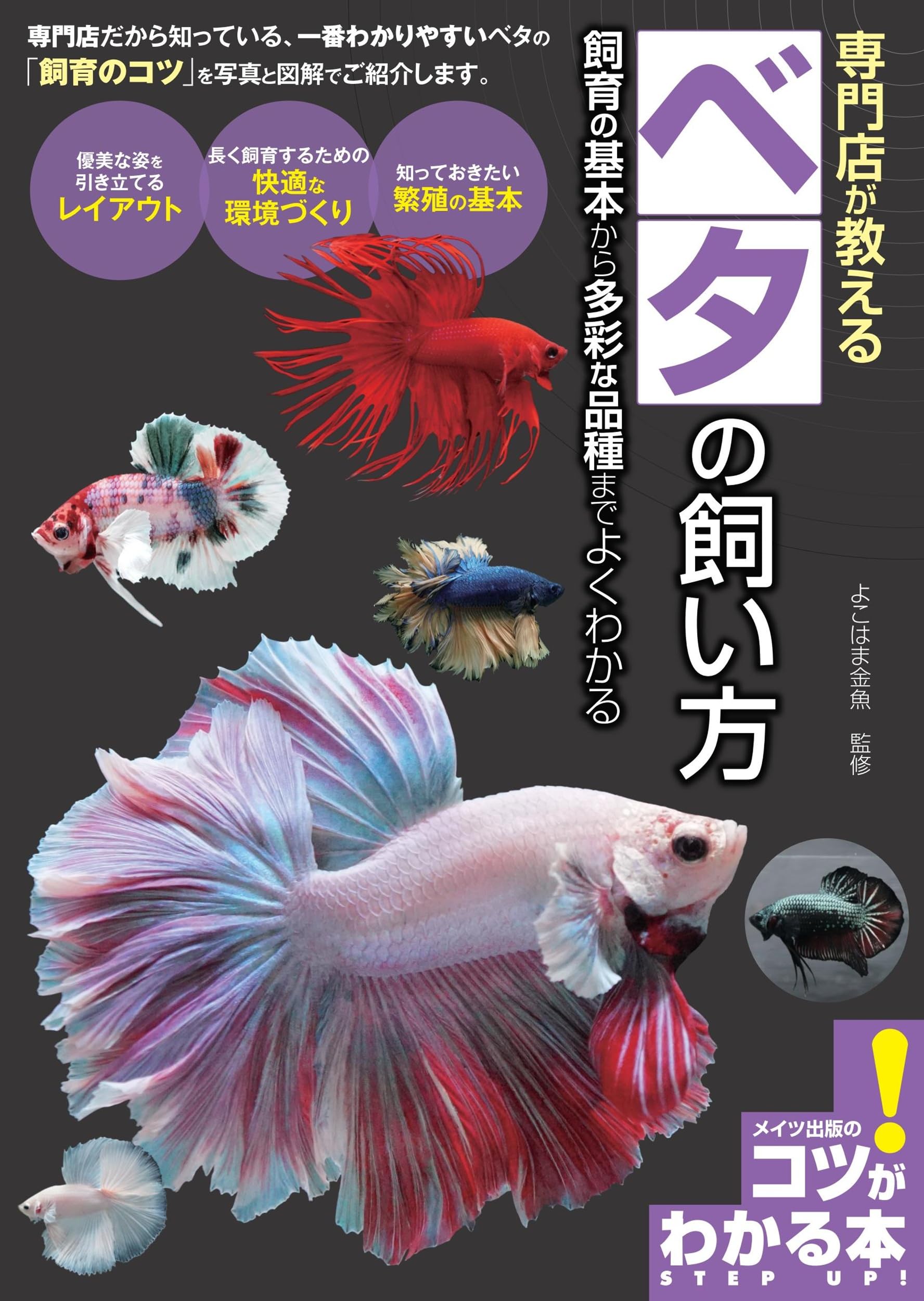 ベタ　　　4冊セット 飼育本など 　熱帯魚 81uKkrz1WML.jpg