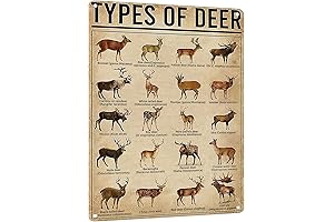 Vintage Farmhouse Deer Poster