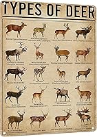 HYBLOM Rustic Types of Deer Metal Tin Sign - Vintage 8x12 Hunting Wall Art, Farmhouse Educational Poster for Man Cave, Bar, Home Decor