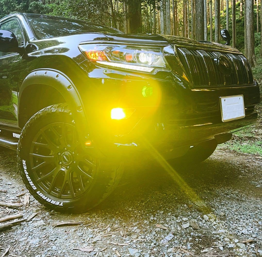 ロイヤルガード零 ライムイエロー LEDフォグ H8 H11 H16 HB4 実測他店