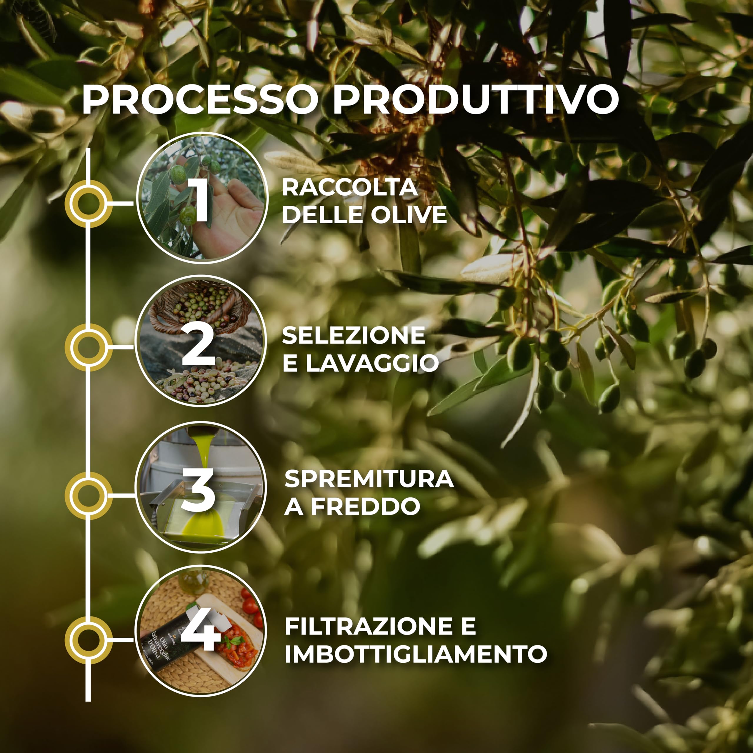 RACILIA Olio Extravergine di Oliva Biologico - Olio Evo Bio 100% Italiano, Spremuto a Freddo - 750 ml