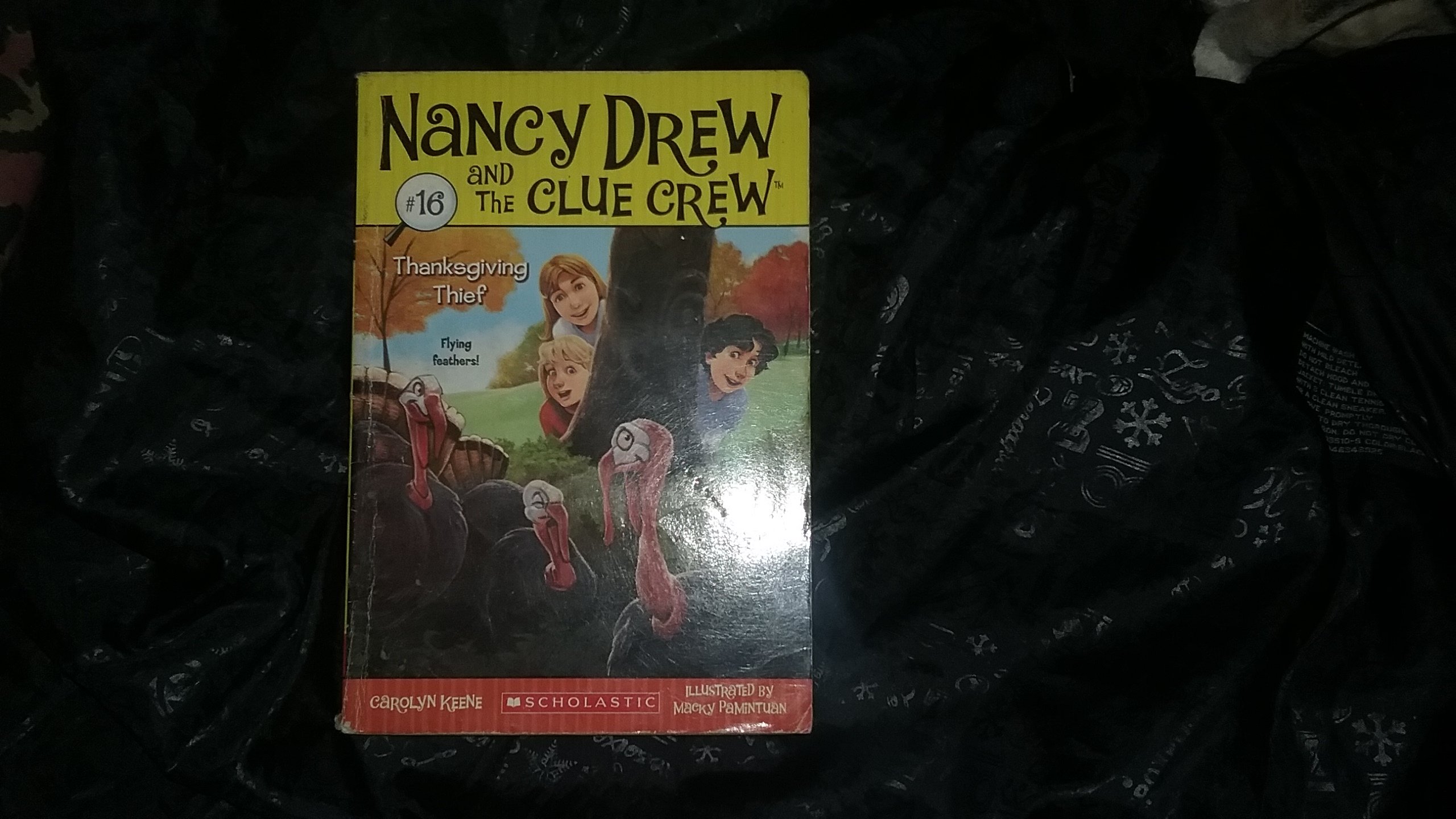 Thanksgiving Thief [Paperback]