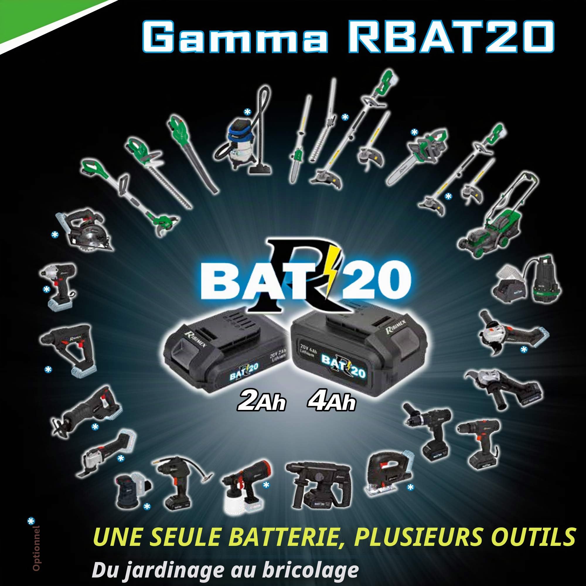 Ribimex PRBAT20/CHURA Chargeur Ultra Rapide pour Batteries RBAT20