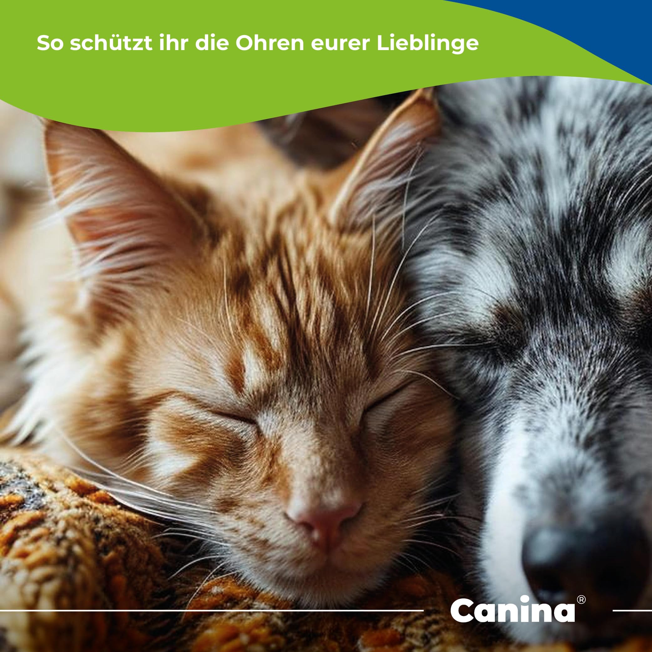 PETVITAL Ohrentücher 120 Stück