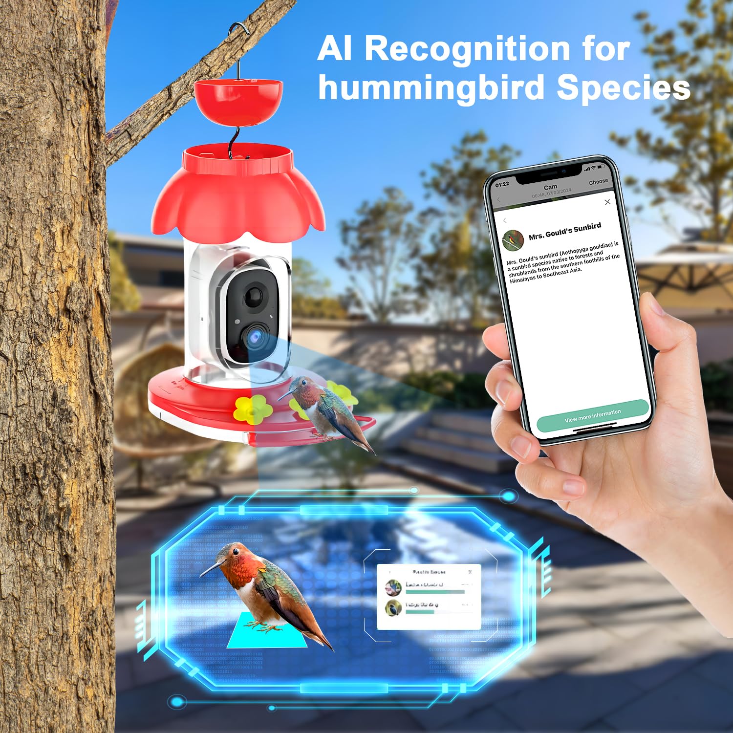 Mangiatoia Per Colibrì Con Telecamera Solare 2,5K HD – Riconoscimento AI, Visione Notturna, Fossa Antiformiche – Wi-Fi 2,4G - 3