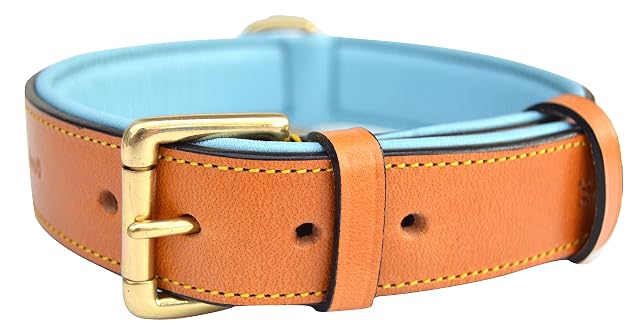 Soft Touch Collars Collar de perro acolchado de cuero, grande marrón con acolchado verde azulado