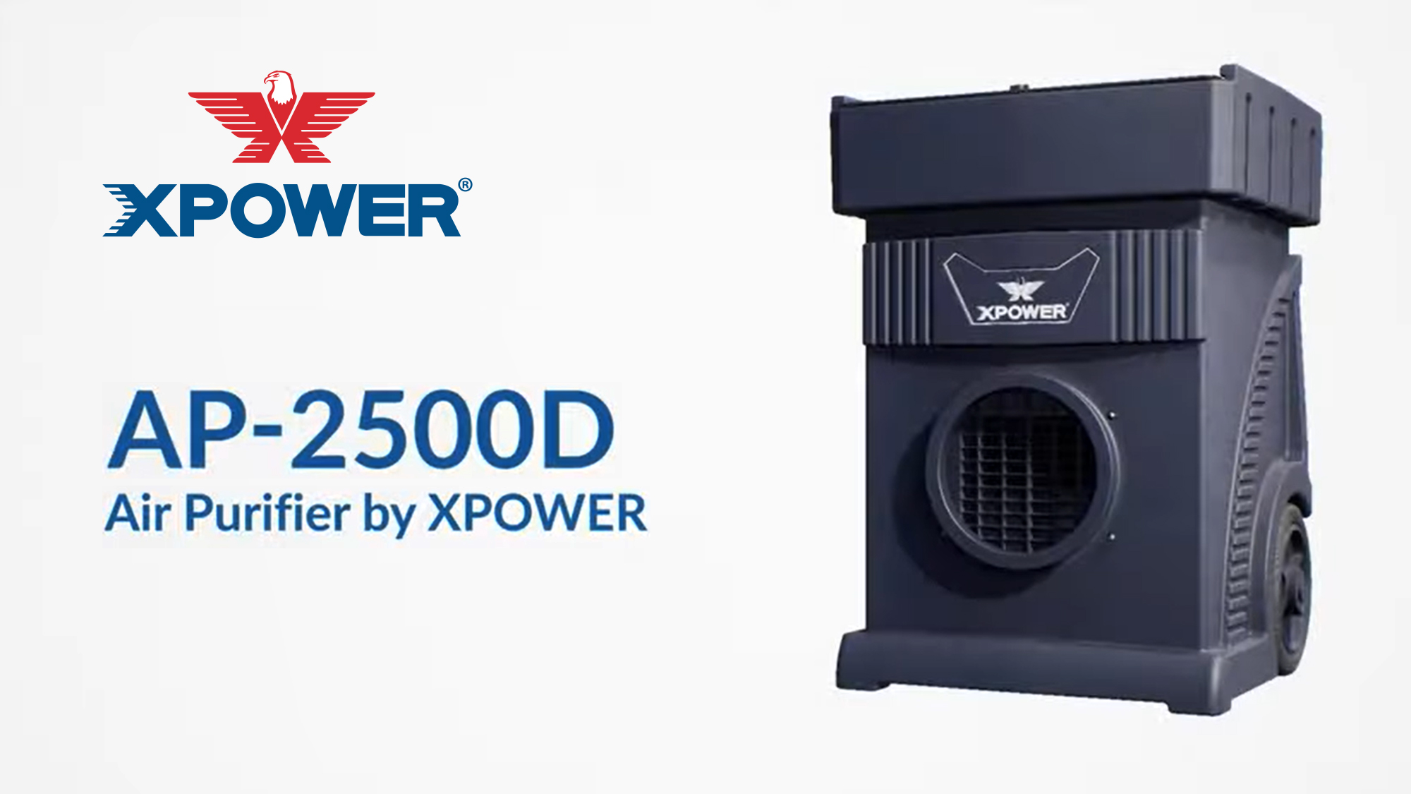 Amazon.com: XPOWER AP-2500D MEGA Air Purification System for Large