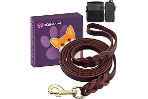 Heavy Duty Leather Dog Leash with Dog Treat Training Pouch, Braided