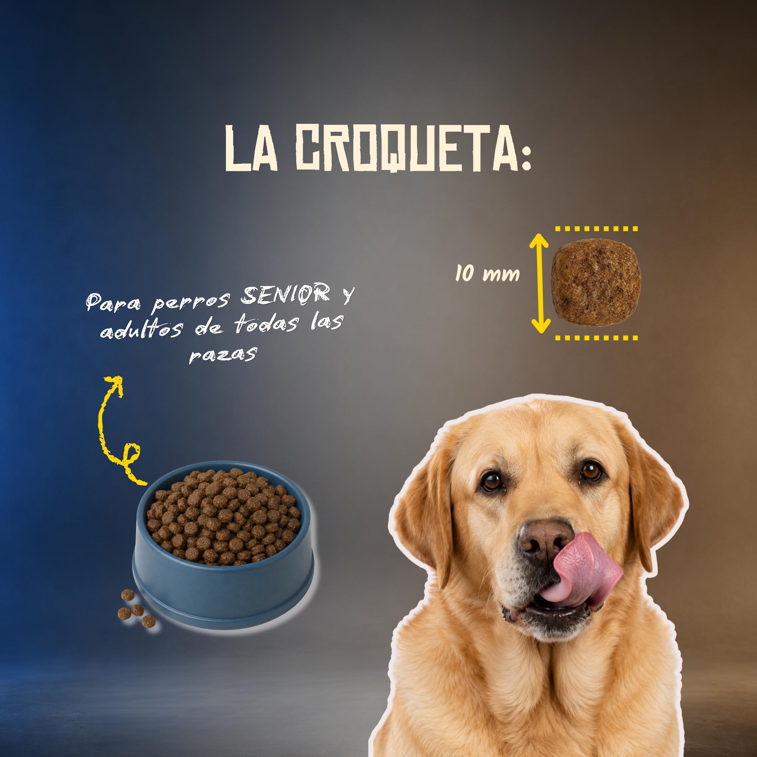 Lenda Grain Free Light y Senior 10kg - Pienso Hipoalergenico para Perro Bajo en Grasa Sin Cereales - Pienso sin Grano para Digestion Sensible - con Probioticos y Condroprotectores para Articulaciones