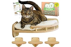 Enrich Your Cat's Kingdom with Ample Wall Shelves and Climbing Steps