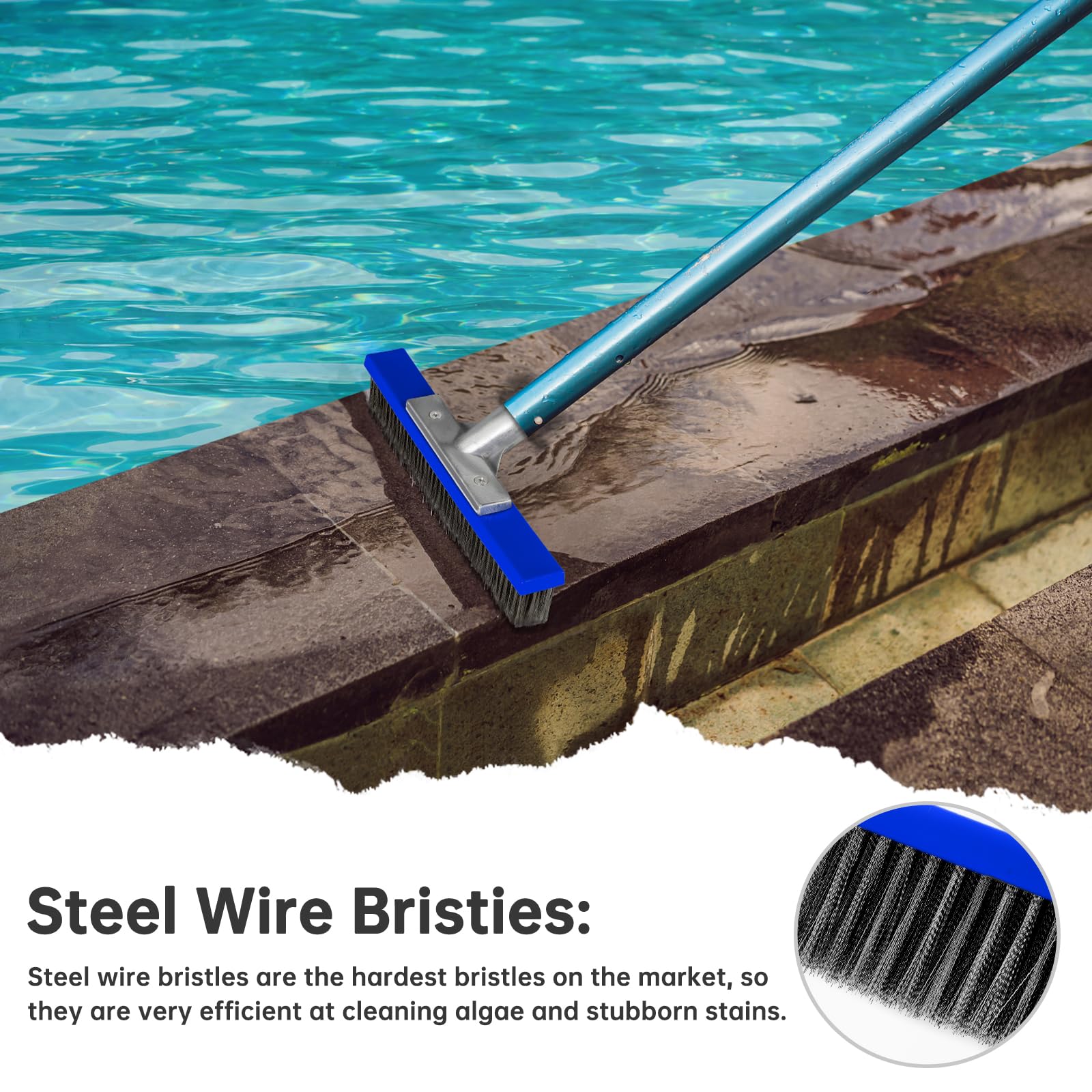 Gejoy Edelstahl-Poolbürste – 25,4 Cm Breit, Aluminium-Rücken, Für Fliesen & Betonwände