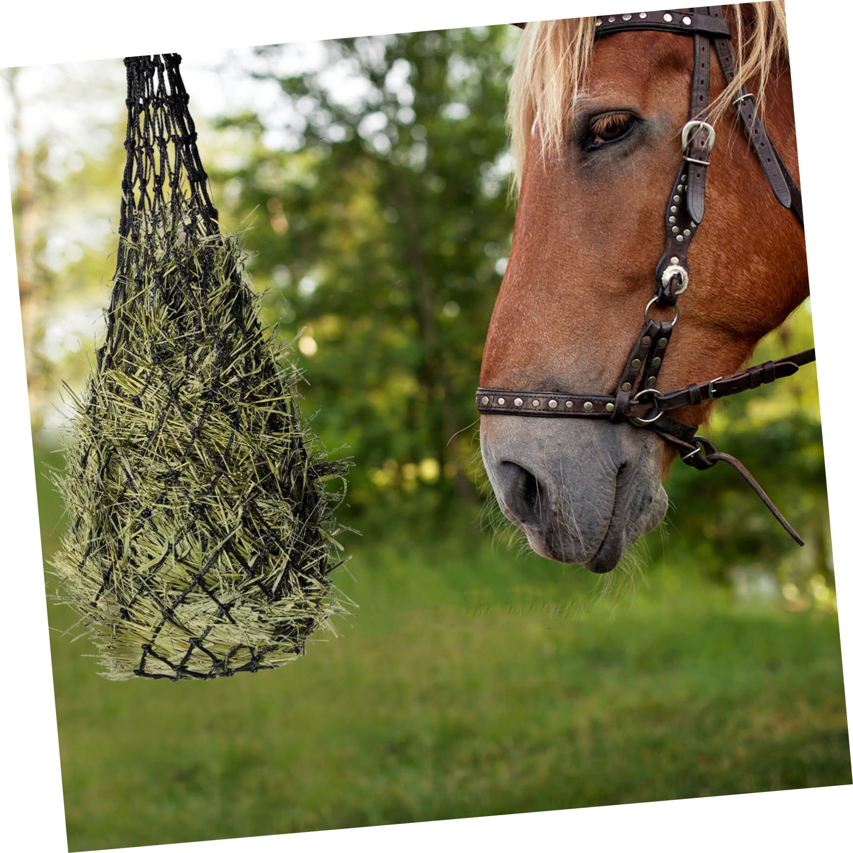ibasenice 5 Piezas Bolsa de Alimentación Colgante Caballos Comedero Multifuncional de Malla Resistente Almacenamiento Capacidad de Limpiar y Transportar