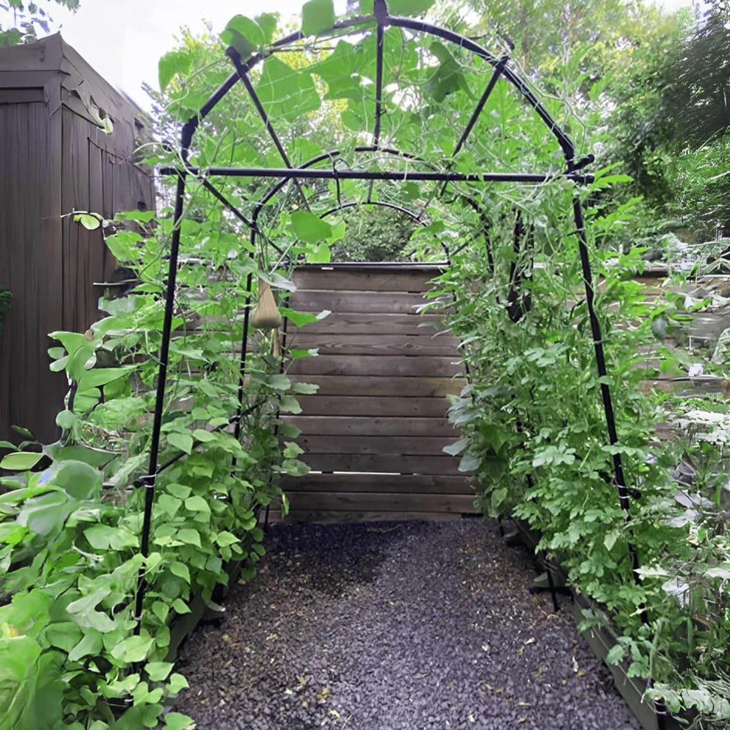 Huerto otoñal, image size:1500x1500