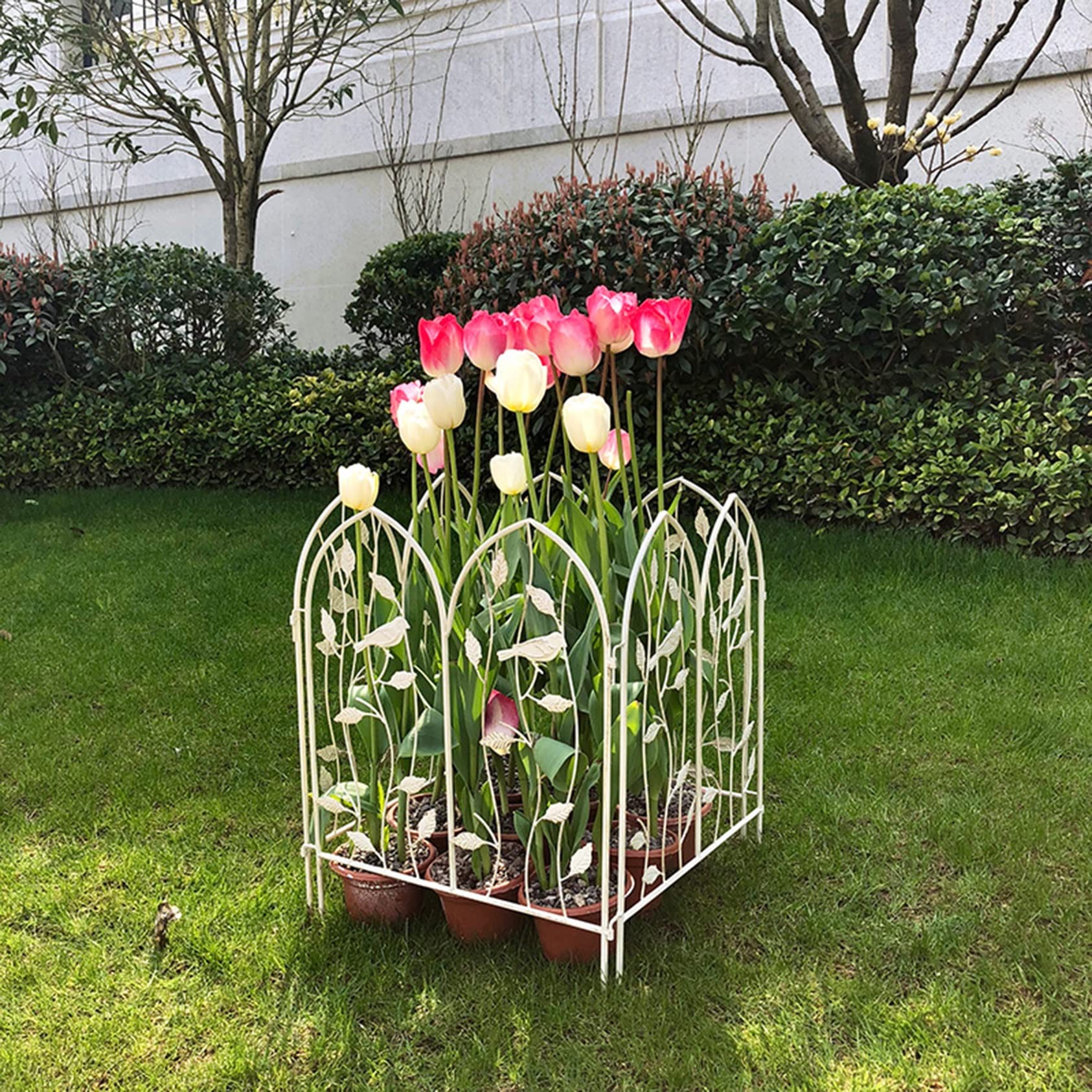ZYFA Rasenkanten Rankhilfe Gartenzaun Rankgitter Gartenstecker Garten Gartenpfähle Gartenzäune Beetzaun Metall Obelisk Pflanzenstützen für Gartendeko,Deko Für Kletterpflanzen,Rosen,Reben